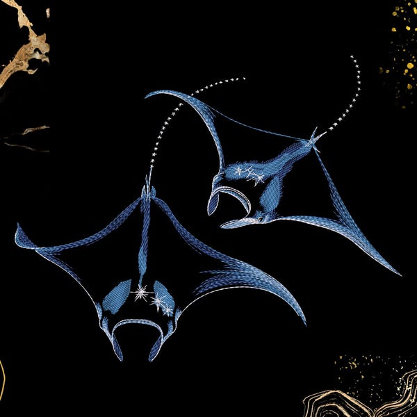 Manta Ray Embroidery Design | Abstract Ocean Line Art | Marine Decor and Sea Life Lovers | Digital Machine Embroidery File | Modern Nautical