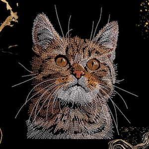 Op de afbeelding: Een close-up van een bruine tabbykat met witte vacht op zijn borst en kin. De kat heeft grote, ronde, amberkleurige ogen en kijkt omhoog met een nieuwsgierige uitdrukking. De achtergrond is zwart met gouden accenten.