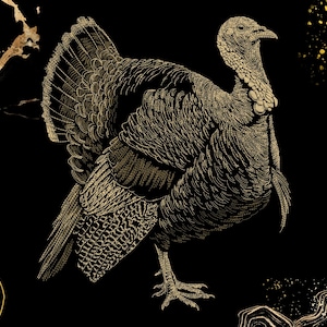 May include: A detailed illustration of a turkey in shades of gold and brown against a black background. The turkey is depicted with its feathers spread, showcasing intricate patterns. The artwork has a vintage, hand-drawn style.