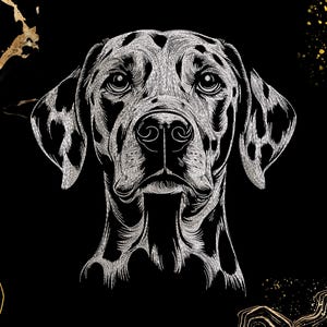 May include: A detailed black and white illustration of a Dalmatian dog's head. The dog has black spots on its ears and around its eyes. The background is black with gold accents, creating a striking contrast. The artwork is a portrait style.