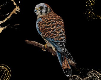 Diseño de bordado de halcón cernícalo / Arte realista de vida silvestre / Regalo para amantes de la naturaleza / Archivo de bordado digital / Pes Pec Vp3 Hus Dst