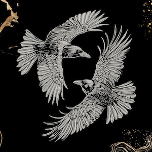 May include: Two black and white stylized illustrations of ravens in flight against a black background with gold accents.