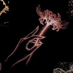 Puede incluir: Ilustración artística de una mano sosteniendo una flor de lirio araña roja sobre un fondo negro. La mano y la flor están representadas con líneas finas y detalladas, creando una estética delicada y elegante. Los acentos dorados añaden un toque de lujo.