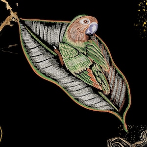 Parrot Embroidery Design | Tropical Leaf Bird Theme | Instant Download for Embroidery Lovers | Digital File PES DST EXP VP3 | Jungle Animal