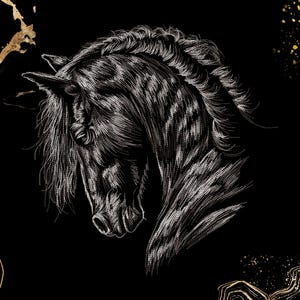 Black Horse Head Embroidery Design | Realistic Stallion Portrait | Western Jacket Patch | Digital Download | Dst, Exp, Pes, Pec, Vp3 Hus Xxx
