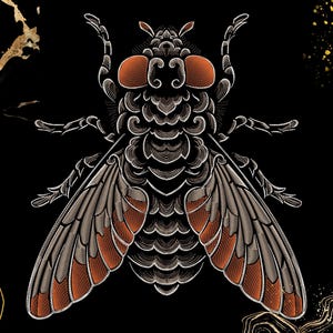 May include: A detailed illustration of a fly centred on a black background. The insect features intricate white line work, large orange compound eyes, and wings with orange and grey segments. Abstract gold and black marbled accents appear in corners.