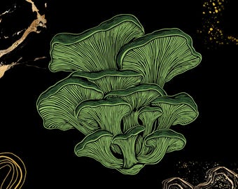 Haft grzyba ostrygowego | Projekt inspirowany naturą | Pobieranie cyfrowe do haftu maszynowego | Pes, Dst, Exp, Jef, Sew | Estetyka grzybów