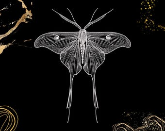 Moth Embroidery Design | Luna Moth Line Art | Nature-Inspired Decor for Crafters | Digital File Dst Jef Sew Exp Vp3 | Elegant Insect Pattern