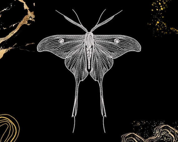 Moth Embroidery Design | Luna Moth Line Art | Nature-Inspired Decor for Crafters | Digital File Dst Jef Sew Exp Vp3 | Elegant Insect Pattern