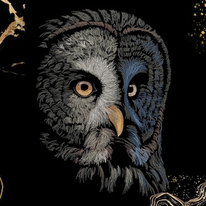 May include: An embroidered owl portrait on a black background, featuring intricate thread work in shades of silver, blue, and gold. The owl has prominent amber eyes and a golden beak, surrounded by abstract gold-colored line art accents.