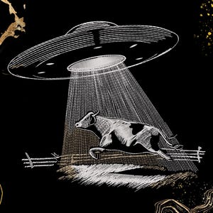 Könnte beinhalten: Schwarz-Weiß-Illustration einer Kuh, die von einem UFO entführt wird. Das UFO strahlt einen hellen Lichtstrahl aus, und die Kuh rennt weg. Der Hintergrund ist schwarz mit goldenen Akzenten.