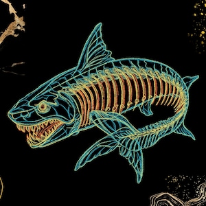 May include: A graphic illustration of a shark skeleton rendered in vibrant cyan and orange outlines against a solid black background. The skeletal structure shows the skull, sharp teeth, rib cage, and fins in a detailed, linear style.