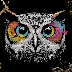 May include: A black and white illustration of an owl with colorful, detailed eyes. The owl's eyes are a mix of pink, blue, yellow, and orange.