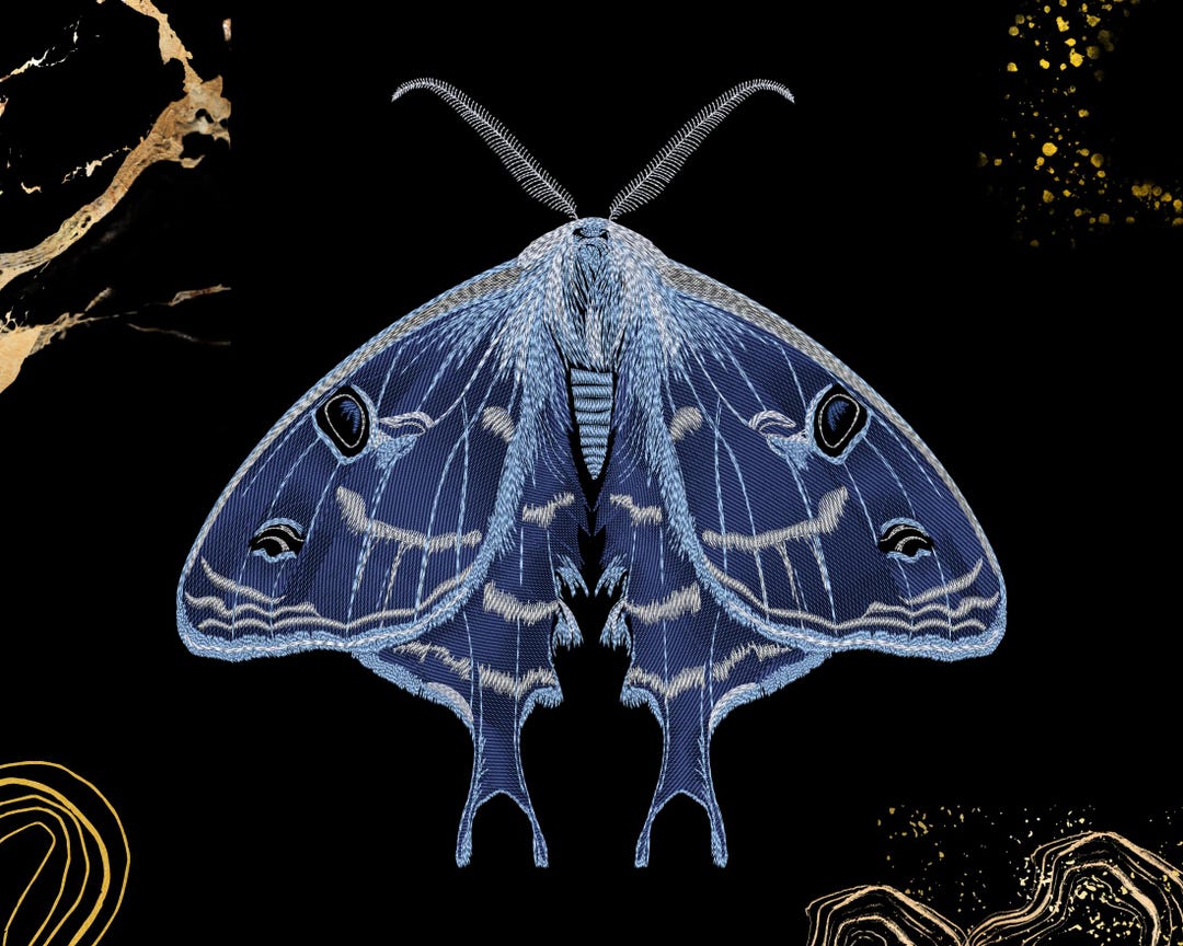 Moth Insect Design Blue Moth Embroidery Design | Detailed Insect Art | Nature Lover Decor ...