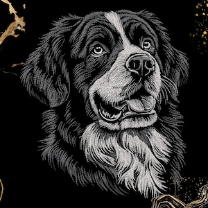 May include: A detailed white line art illustration of a Bernese Mountain Dog head on a black background. The dog has a white blaze on its forehead, a white chest, and expressive eyes. Abstract gold-colored marble-like accents frame the corners.