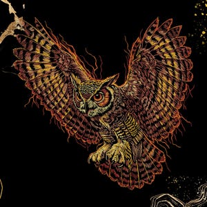 May include: Detailed illustration of an owl in flight, with outstretched wings. The owl features intricate feather patterns in shades of brown, orange, and yellow against a black background. Gold accents and a stylized design complete the artwork.