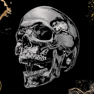 May include: A detailed black and white illustration of a human skull with a textured surface. The skull is set against a black background with gold accents.