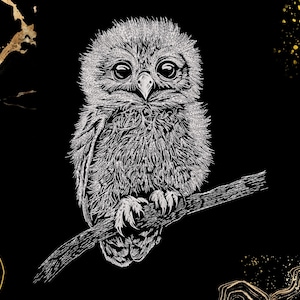 May include: A detailed black and white illustration of a baby owl perched on a branch. The owl has large, expressive eyes and fluffy feathers. The background is black with gold accents.