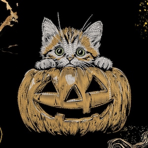 May include: A digitally rendered image of a kitten peeking over a carved pumpkin. The kitten has orange and white fur with green eyes. The pumpkin is gold with a carved face. The background is black with gold accents.