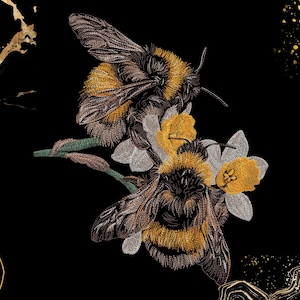 May include: An embroidery design featuring two fuzzy bumblebees with black and yellow striped bodies perched on white and yellow flowers. The composition includes abstract gold line art accents and gold splatter details against a solid black background.