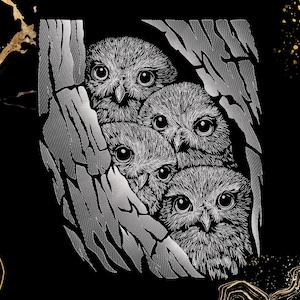 Baby Eulen spähende Stickerei Design | Niedliche Eulen in Baumhöhle | Waldtier Kunst | Kinder Geschenkidee | Digitaler Download | Dst Exp Pes Pec
