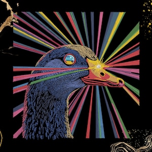 May include: A colorful illustration of a bird's head with a radiating burst of rainbow-colored lines against a black background. The bird has blue feathers, a red beak, and a yellow eye. The artwork has a psychedelic, artistic style.
