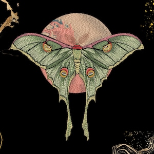 Può includere: Illustrazione dettagliata di una farfalla verde e rosa con intricati motivi alari, su uno sfondo di un cerchio rosa e uno sfondo nero. La farfalla ha lunghe appendici.