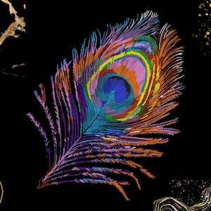 Könnte beinhalten: Eine farbenfrohe Pfauenfeder mit einem blauen, grünen, gelben und orangefarbenen Augenmuster. Die Feder befindet sich auf einem schwarzen Hintergrund mit goldenen Akzenten.