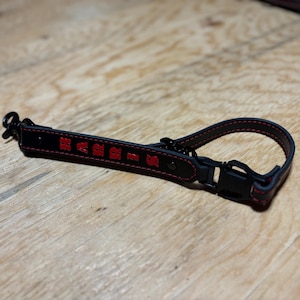 May include: Black leather camera strap with red stitching and the word "BARR-K" embroidered in red.