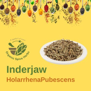 Inderjaw Bitter powder, Inderjau Kadwa, Original Karva Indrajau, Holarrhena Pubescens, Indrajav, Holarrhena Pubescens Seed, Kadwa Inderjaw