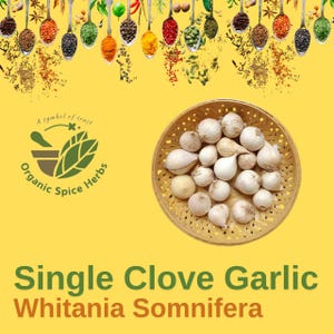 Pode incluir: Uma cesta de bulbos de alho de um só dente, também conhecidos como "alho de um só dente", com o texto "Single Clove Garlic Withania Somnifera" abaixo da cesta.