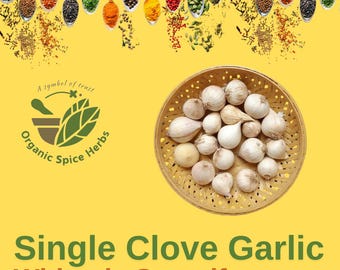 Single Clove Garlic, Organic Solo Garlic, Wild Single Clove Garlic, Java Solo Garlic, Monobulb Garlic, Single Bulb Garlic, Pearl Garlic