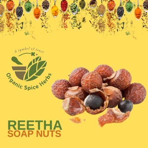 May include: Close-up of brown soap nuts, also known as Reetha, on a yellow background. The soap nuts are a natural alternative to commercial detergents.
