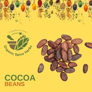 Cocao Beans, Theobroma Cacao, Organic Theobroma Cacao, Organic Cacao Beans, Cacao Beans, Cocoa Bean, Cacao Beans Powder, Organic Spice Herbs