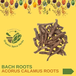 May include: A close-up of a pile of dried brown Bach roots, also known as Acorus calamus roots, on a yellow background. The roots are long and thin, with a slightly rough texture. The image is accompanied by a logo that reads "Organic Spice Herbs, A symbol of trust".