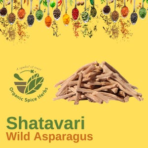 May include: A pile of dried, light brown Shatavari wild asparagus sticks on a yellow background. The image includes a logo for "Organic Spice Herbs" and spoons filled with various spices at the top. The text "Shatavari Wild Asparagus" is at the bottom.