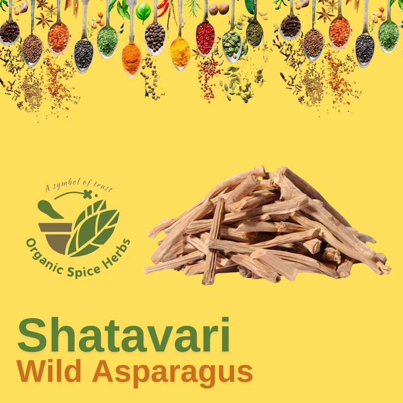 May include: A pile of dried, light brown Shatavari wild asparagus sticks on a yellow background. The image includes a logo for "Organic Spice Herbs" and spoons filled with various spices at the top. The text "Shatavari Wild Asparagus" is at the bottom.