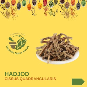 May include: Dried Cissus Quadrangularis, also known as Hadjod, in a white bowl on a yellow background. The herb is brown and has a rough texture. The image also includes a logo for Organic Spice Herbs.