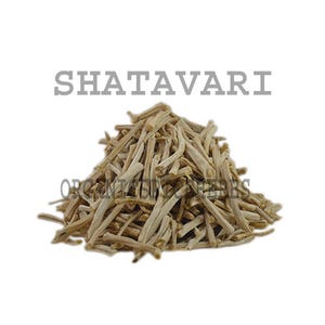 May include: A pile of dried, beige Shatavari roots against a white background. The word "SHATAVARI" is printed in gray block letters above the pile. The text "ORGANIC TASTE EXPERTS" is printed in a smaller font below the pile.