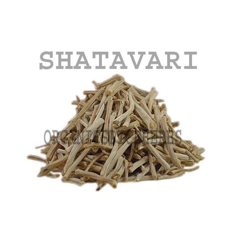 May include: A pile of dried, beige Shatavari roots against a white background. The word "SHATAVARI" is printed in gray block letters above the pile. The text "ORGANIC TASTE EXPERTS" is printed in a smaller font below the pile.