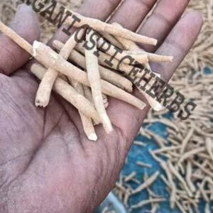 K&ouml;nnte beinhalten: Eine Hand h&auml;lt einen Haufen getrockneter, d&uuml;nner, faseriger Wurzeln in hellbrauner Farbe. Die Wurzeln sind lose in einem Haufen angeordnet und etwa 2,5 bis 5 cm lang. Der Hintergrund ist ein Haufen &auml;hnlicher Wurzeln.