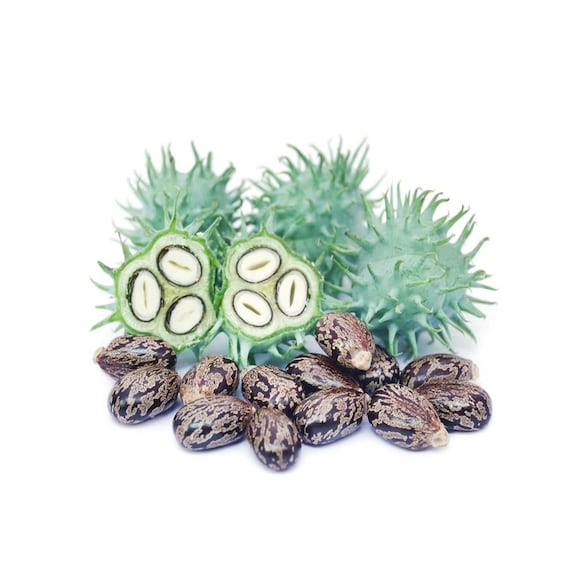 yellow flower pots ceramic Extra Large Round Yellow Ceramic Planter main image 0