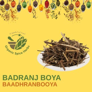 May include: Dried brown herbs in a white bowl on a yellow background. The text "BADRANJ BOYA BAADHRANBOOYA" is below the bowl. A logo with the text "Organic Spice Herbs" is in the top left corner.