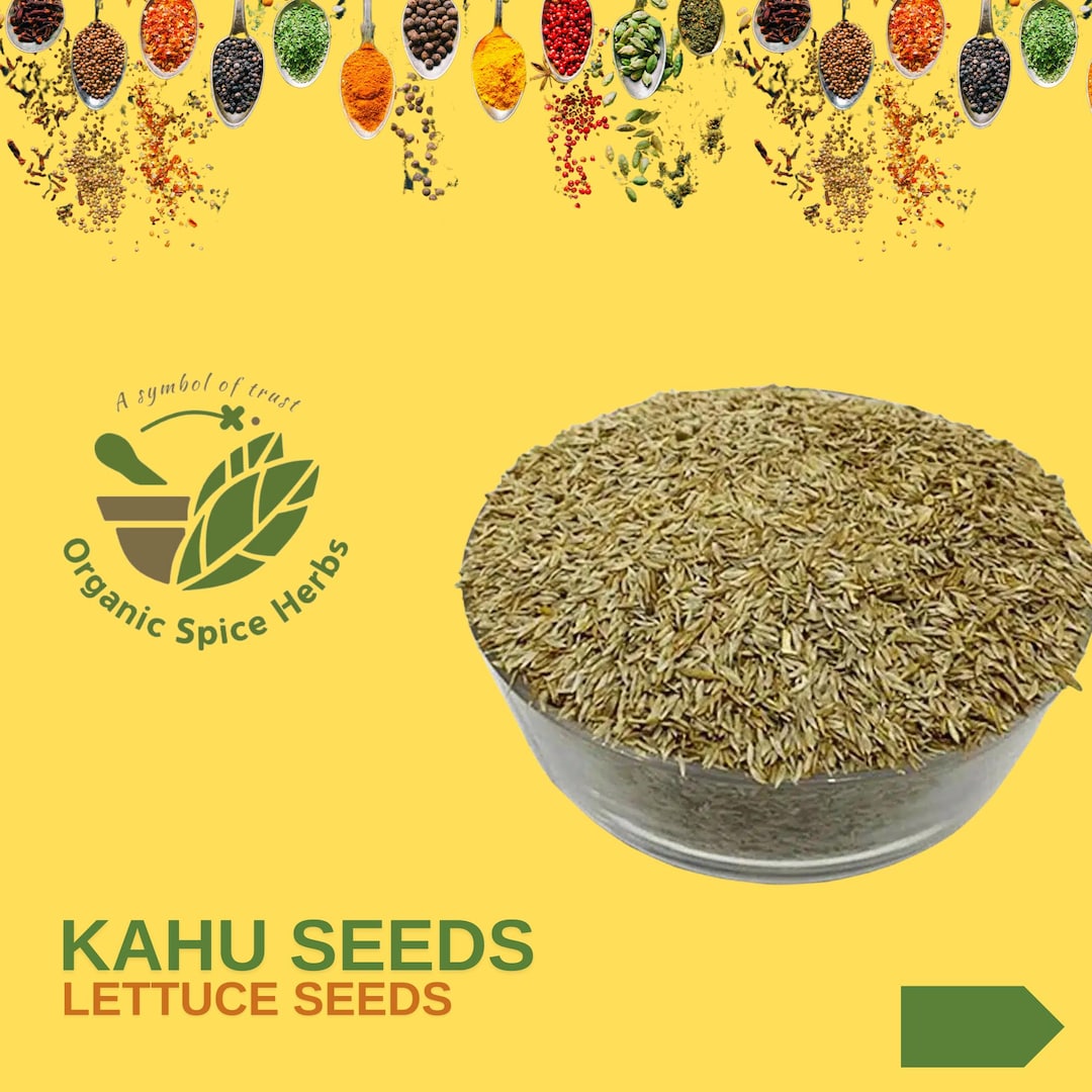 Lactuca Sativa, Kahu Seeds, Kahu Beej, Lettuce Seeds, Organic Kahu ...