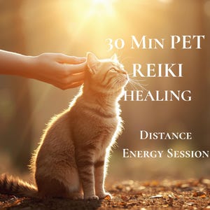 以下が含まれることがあります： 暖かい日差しの中に座る茶色のトラ猫。画像には「30 MIN PET REIKI HEALING DISTANCE ENERGY SESSION」という文字が書かれています。猫は右を向き、頭を少し上に傾けており、頭を優しく触れられています。