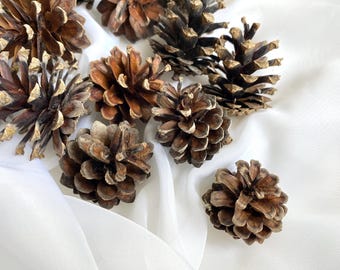 Pinecones-Christmas Decor-20 Gathered Pinecones-Autumn Decor-Christmas Crafts