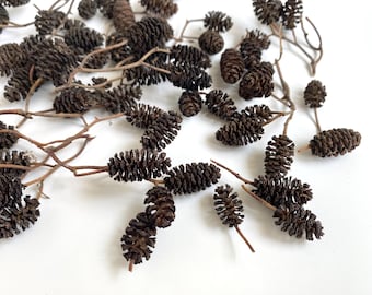 Tiny Pinecones-50 Mini Alder Pinecones-Christmas Crafts-Christmas Miniatures-Christmas Decor-Miniatures