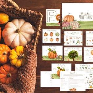 Studium jednostki dyniowej do druku/ Lekcja przedszkolna oparta na naturze/ Jesienna lekcja przedszkolna do druku/ Lekcja Waldorf Pumpkin