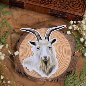Capra, impermeabile, vinile, capricorno, arte animale, diario planner, scrapbooking