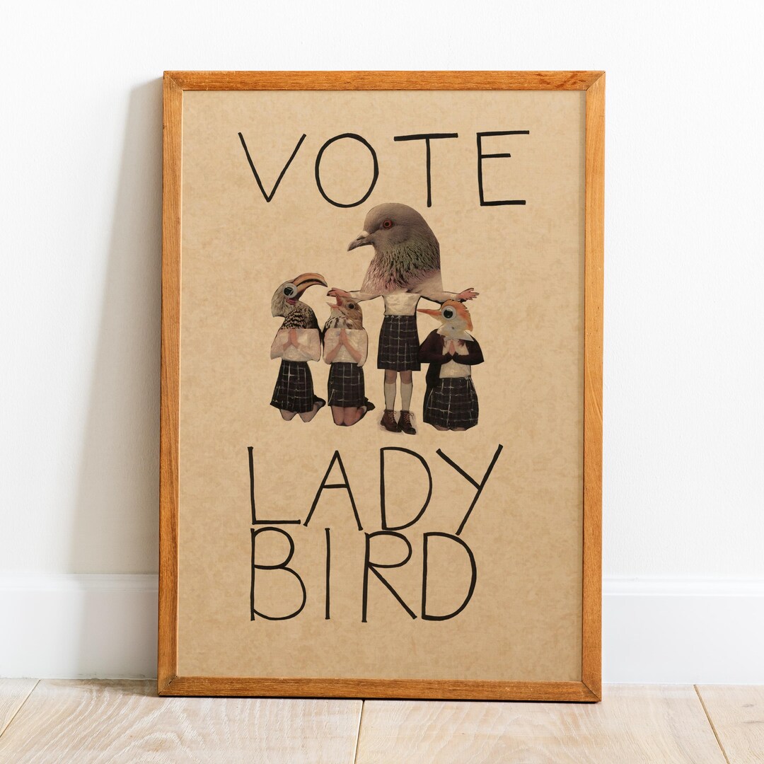 Lady Bird Retro Poster | Movie Wall Art | Wall Decor | Kraft Paper ...